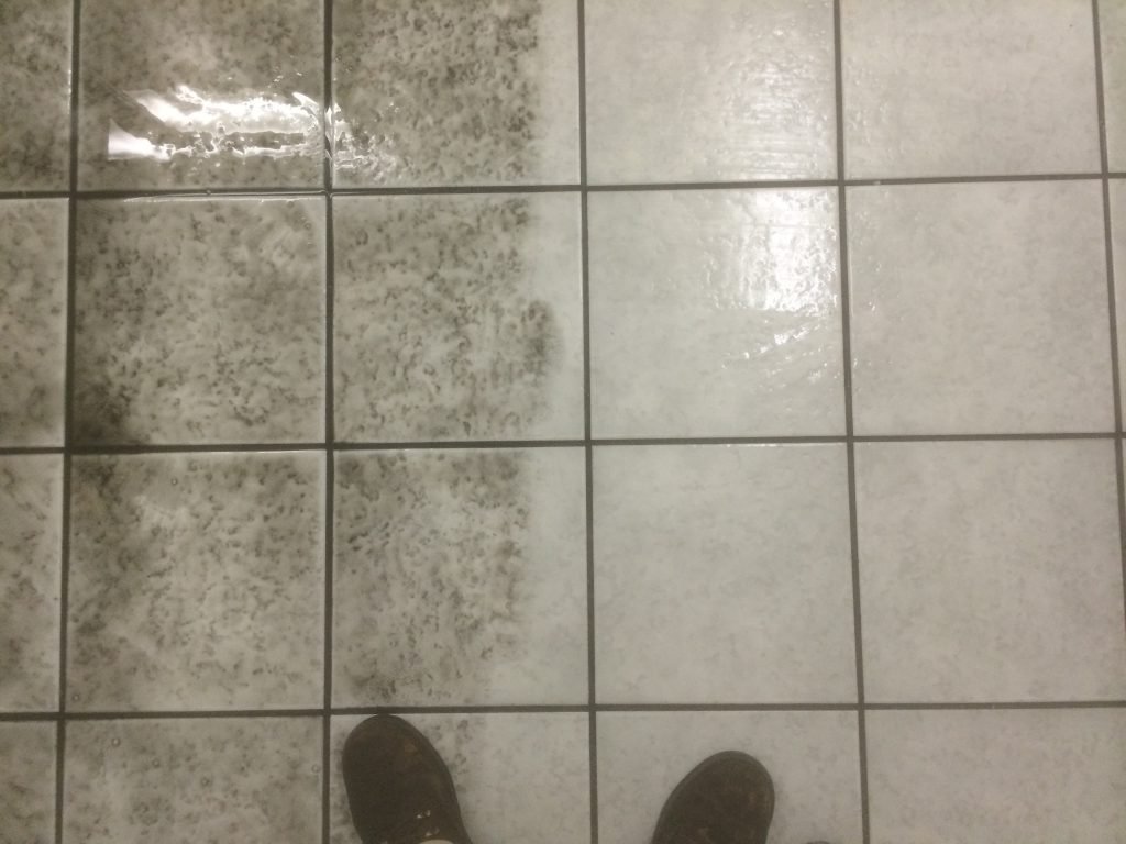 tile and grout cleaning -commercial restroom