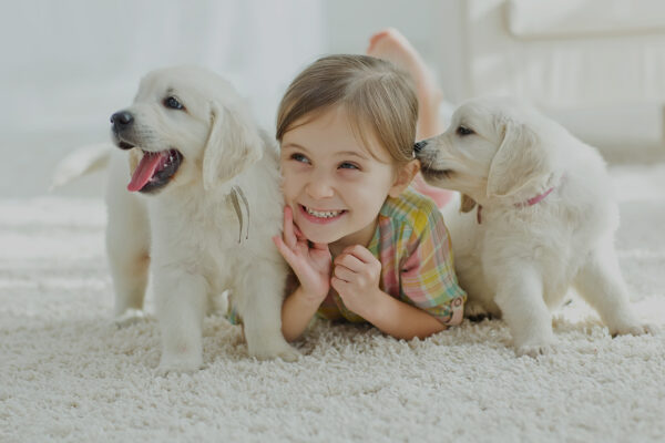 Happy child with two puppies on a clean carpet after professional cleaning in San Pedro, CA