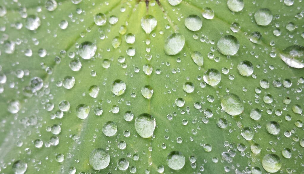 Close-up of water droplets on a surface, symbolizing how sealing marble floors protects against moisture and staining.