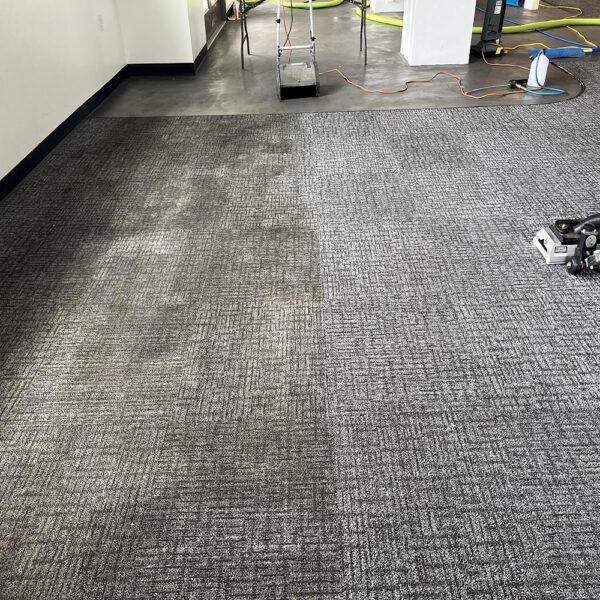 Before and After Commercial Carpet Cleaning in Torrance Office Before and After Commercial Carpet Cleaning in Torrance Office
