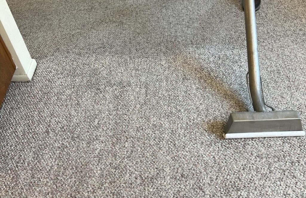 Technician using professional carpet cleaning wand on freshly cleaned carpet in San Pedro home